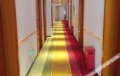 Туры в отель Shengzhi Hotel(Zhengzhou Guomao 360 Provincial People's Hosptial Subway Station Branch)
