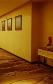 Туры в отель Durian Boutique Hotel (Shenzhen Bao'an Center)