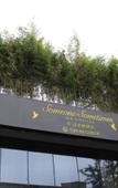 Туры в отель Sfeel Designer Hotel (Chengdu Kuanzhai Alley Shop)