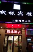 Туры в отель Fenglin Hotel (Guangzhou Nansha Tangkeng Metro Station)