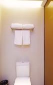 Туры в отель Chonpines Hotel (Leshan Giant Buddha)