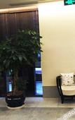 Туры в отель Chongqing Rongghui Up-Spring Alley Hotel