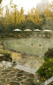 Туры в отель Chongqing Rongghui Up-Spring Alley Hotel