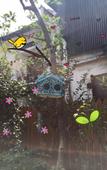 Туры в отель Floral Hotel Joyful Garden Hangzhou