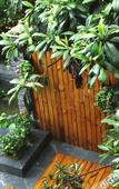 Туры в отель Floral Hotel Joyful Garden Hangzhou