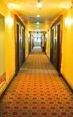 Туры в отель Jinshawan Hotel (Huangpu Dashadi Subway Station Branch, Guangzhou)