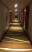 Туры в отель Vienna Hotel (Changzhou Zou Lighting City Store)