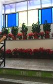 Туры в отель Yimi Hotel (Shenzhen Shangmeilin Subway Station)
