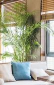 Туры в отель Minyoun Rezen Hotel Wenjiang Chengdu