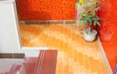 Туры в отель Dongbo Hostel