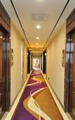 Туры в отель Biluohai Hotel (Guangzhou Jianggao)