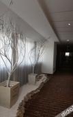 Туры в отель Baolong Yugang Hotel