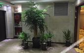 Туры в отель Huayi Zhenpin · Yunting Guanlan Audio-Visual International Hotel