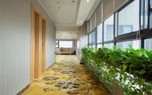 Туры в отель Huayi Zhenpin · Yunting Guanlan Audio-Visual International Hotel