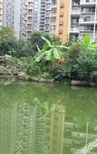 Туры в отель Homeinn Paibo · Yun Hotel (Chengdu Longquanyi Teachers University Modern Garden)