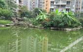 Туры в отель Homeinn Paibo · Yun Hotel (Chengdu Longquanyi Teachers University Modern Garden)
