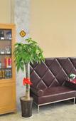 Туры в отель Homeinn · neo (Ningbo Railway Station Daqingqiao Subway Station)