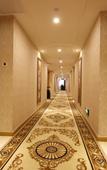 Туры в отель Vienna Hotel (Shenzhen Guangming Daqianli Xinzhuang Subway Station)