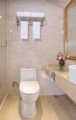 Туры в отель Vienna Hotel (Shenzhen Guangming Daqianli Xinzhuang Subway Station)
