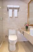 Туры в отель Vienna Hotel (Shenzhen Guangming Daqianli Xinzhuang Subway Station)
