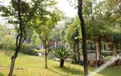 Туры в отель F World Conference Center Hotel (Wuhan Tianhe Airport Julong Avenue Subway Station Branch)