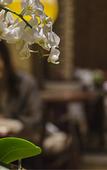 Туры в отель Yeboqinhuai SSAW BOUTIQUE Hotel(Jinling Calligraphy and Painting Academy)