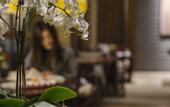 Туры в отель Yeboqinhuai SSAW BOUTIQUE Hotel(Jinling Calligraphy and Painting Academy)