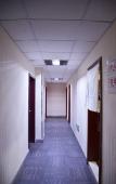 Туры в отель Wanxing Hotel