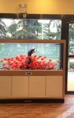 Туры в отель 7Days Inn Chain Hotel (Nanjing Museum Guanghua Gate Subway Station)