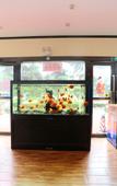 Туры в отель 7Days Inn Chain Hotel (Nanjing Museum Guanghua Gate Subway Station)