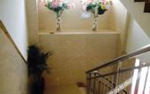 Туры в отель Yongfu Hotel