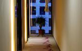 Туры в отель Lavande Hotel (Chengdu Century City New Exhibition Center)