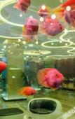 Туры в отель Nice Boman Hotel (Taizhou International Convention and Exhibition Center)