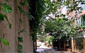 Туры в отель Baxi Youth Hostel