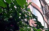 Туры в отель Baxi Youth Hostel