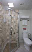 Туры в отель Homeinn Hotel (Chengdu Qingyanggong Provincial Hospital Subway Station)