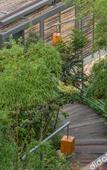 Туры в отель Meijie Mountain Hotspring Resort