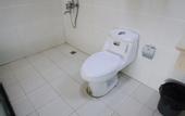 Туры в отель Jinlu Business Hotel Shanghai