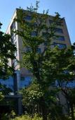 Туры в отель Shubohao Hotel