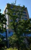 Туры в отель Shubohao Hotel