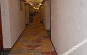 Туры в отель Xiamen Linshuiwan Hotel (Xinglin Vanke Li Garden Expo Park Metro Station Branch)