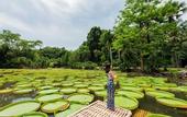 Туры в отель ROYAL WATERLILY HOTEL