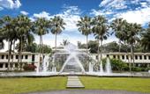 Туры в отель ROYAL WATERLILY HOTEL