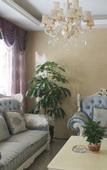 Туры в отель Hangdu Garden Hotel(Shuangliuairportstore)