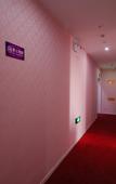 Туры в отель Shanghai 520 Theme Hotel (Anting Subway Station)