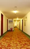 Туры в отель GreenTree Inn (Luoyang Peony Plaza)