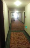 Туры в отель GreenTree Inn (Luoyang Peony Plaza)