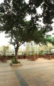 Туры в отель Kaijue Hotel