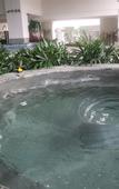 Туры в отель Biquan Kongzhong Hot Spring Hotel