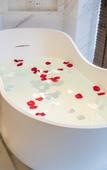 Туры в отель Ber International Hotel